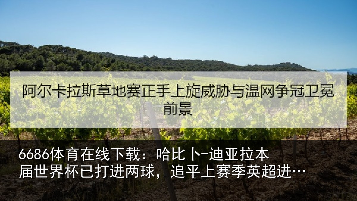 6686体育在线下载：哈比相关情况杯已打进两球，追平上赛季英超进球数