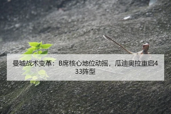 man-cheng-zhan-shu-bian-ge-xi-he-xin-di-wei-dong-yao-gua-di-ao-la-chong-qi-zhen-xing-3-677.jpg
